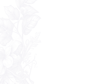 ornament-left-bottom