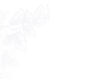 ornament-left-top