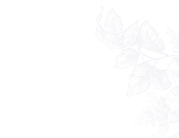 ornament-right-top